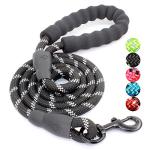 Comfortable Padded Dog Leash with Reflective Threads
