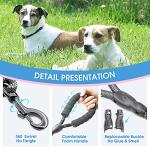 Comfortable Padded Dog Leash with Reflective Threads