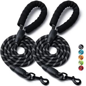Heavy Duty Reflective Dog Leash - 2 Pack