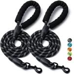 Heavy Duty Reflective Dog Leash - 2 Pack