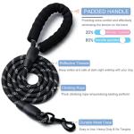Heavy Duty Reflective Dog Leash - 2 Pack