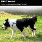 Heavy Duty Reflective Dog Leash - 2 Pack