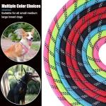 Heavy Duty Reflective Dog Leash - 2 Pack