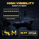 Fida 16ft Retractable Dog Leash for Small Dogs