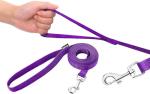 6 FT Purple Dog Leash with Easy Collar Hook