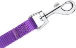 6 FT Purple Dog Leash with Easy Collar Hook