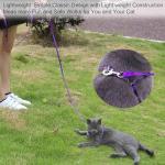 6 FT Purple Dog Leash with Easy Collar Hook