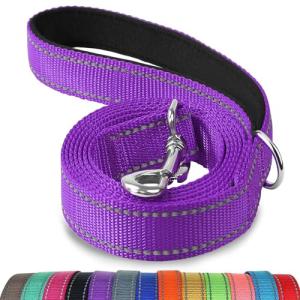 Joytale 6 FT Reflective Dog Leash - Purple