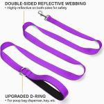 Joytale 6 FT Reflective Dog Leash - Purple