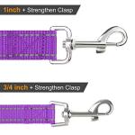 Joytale 6 FT Reflective Dog Leash - Purple