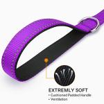 Joytale 6 FT Reflective Dog Leash - Purple