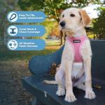Voyager Step-in Air Harness for Dogs & Cats