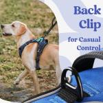 No-Pull Large Dog Harness with Control Handle