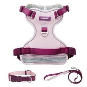 Pink No Pull Dog Harness, Leash & Collar Set