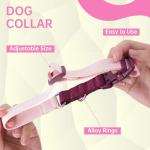 Pink No Pull Dog Harness, Leash & Collar Set