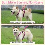 Pink No Pull Dog Harness, Leash & Collar Set