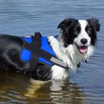 No-Pull Reflective Dog Harness with Adjustable Handle
