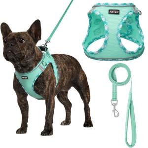 Small Dog Harness and Leash Set - Easy Walk
