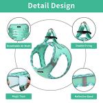 Small Dog Harness and Leash Set - Easy Walk