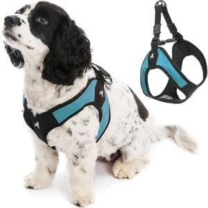 Gooby Escape Free Easy Fit Dog Harness - Turquoise