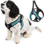 Gooby Escape Free Easy Fit Dog Harness - Turquoise