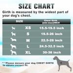 BARKBAY Reflective No Pull Dog Harness, Pink