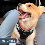 YIMEIS Adjustable No Pull Dog Harness and Leash Set