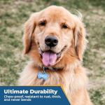 Personalized Anodized Metal Pet ID Tags