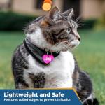 Personalized Anodized Metal Pet ID Tags