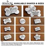 Personalized Stainless Steel Pet ID Tags