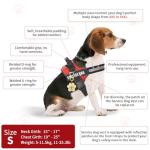 Service Dog Vest with ID Tag and Info Cards