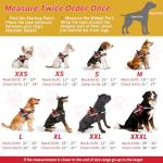 Service Dog Vest with ID Tag and Info Cards