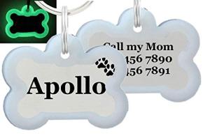 Personalized Double-Sided Stainless Steel Dog ID Tag