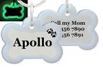 Personalized Double-Sided Stainless Steel Dog ID Tag