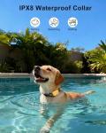 Jugbow Waterproof Dog Training Collar with Remote