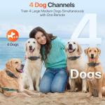 Remote Dog Training Collar with 4 Modes