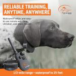 SportDOG 825X Waterproof Remote Training Collar