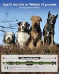 Remote Dog Training Collar with Vibration and Shock
