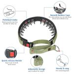 Mayerzon No Pull Martingale Dog Collar - Green