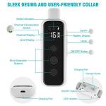 Dual Dog Shock Collar - Waterproof & Rechargeable