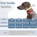 Mayerzon No Pull Martingale Dog Collar - Green