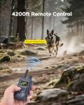 BLACKDOG Military Dog Training Shock Collar 4200ft