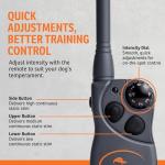 SportDOG FieldTrainer 425X Remote Dog Training Collar
