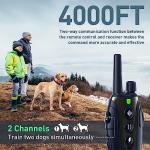 Dual Dog Training Collar with Night Light