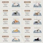 Memory Foam Orthopedic Dog Bed for Extra Large Dogs