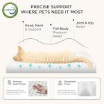 Cozy Large Dog Bed with Removable Cover