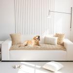 Non-Slip Washable Couch Covers for Dogs