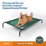 Coolaroo Elevated Dog Bed - Large, Brunswick Green