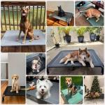 Elevated Outdoor Dog Bed for Large Dogs