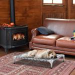 Elevated Outdoor Dog Bed for Medium Pets